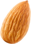 Amande_autre